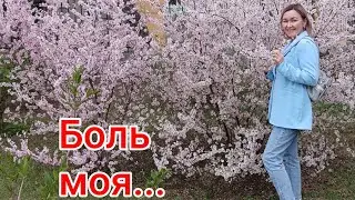 Суставы! или как избавиться от боли в любом возрасте