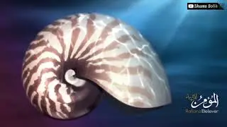 1-ҚИСМ  Илоҳий ўлчовлар