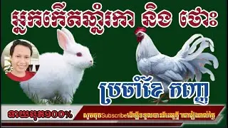 រឿងរ៉ាវ អ្នកកើតឆ្នាំរកា និង ថោះ ប្រចាំខែកញ្ញា/horoscope daily 2024:by7GNEWS