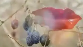ОСЕННИЙ ТУМАН В ТВОИХ  ГЛАЗАХ