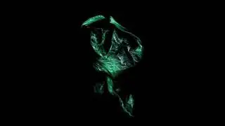 Stenny - Swordfish