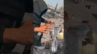 РАЗБУДИЛ АФКШНИКА