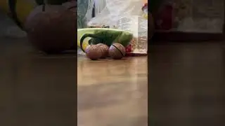 Макадамия