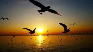 [Free] drill type beat - summer walk