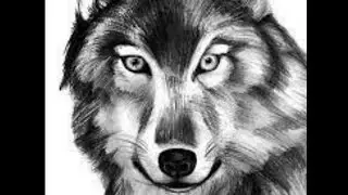 BOLALAR UCHUN BÕRI RASMINI CHIZISH РИСОВАНИЕ ВОЛКА ДЛЯ ДЕТЕЙ DRAWING A WOLF FOR CHILDREN