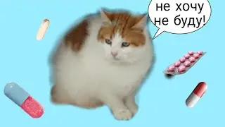 Профилактика для питомцев Даю лекарство