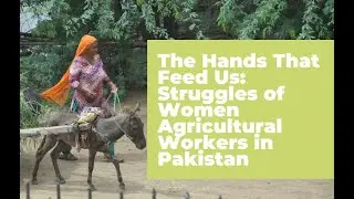 The Hands That Feed Us: Struggles of Women Agricultural Workers in Pakistan