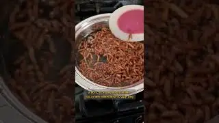 Настоящий полезный и целебный мёд из шишек 🔥