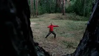 Forest Taichi