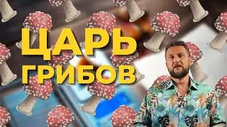МУХОМОР. ЦАРЬ ГРИБОВ. Почему я его не использую 