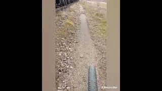 покатушки