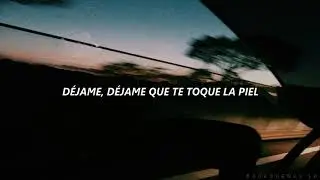 Vilma Palma e Vampiros - Bye Bye // Letra