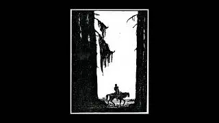 Skymningsvävd - Fragment (2023) (Dungeon Synth)