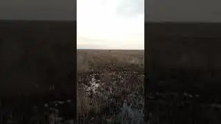 На охоте. Весна 2021