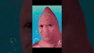 spongebob baltics