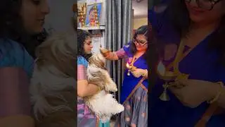 Enga vtla varalakshmi pooja❤️ #ishqyouall #swv #tamil #comedy #funny #tamil #shorts