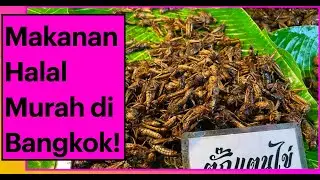 Makanan Halal, Sedap dan Murah di Bangkok! - Ramkhamhaeng Night Market