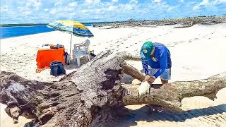 PEGUEI MUITOS PEIXES GRANDES COM ESSA DICA QUE DEU MUITO CERTO