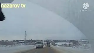 проста тамашо