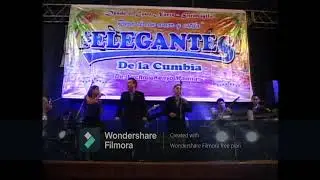 LOS ELEGANTES DE LA CUMBIA yo lo queria Marisol