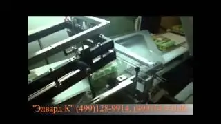 Упаковка яйцо клетка 24 шт. Pratika MPE