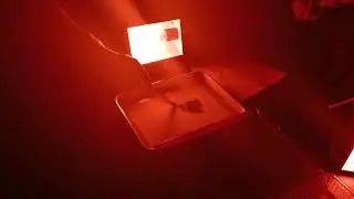 Процесс проявки фотографии