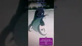 крот про клетчке зайц 