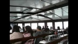 HKG 洋紫荊 2012