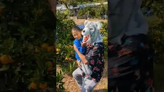 Newest Mochi funny Best video 😂😂😂#mochi