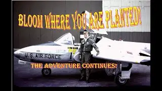 Career decisions and consequences! Bloom where you are planted. T-37 Instructor Pilot. part 3