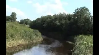 ЖАННА БИЧЕВСКАЯ - РОДНИК