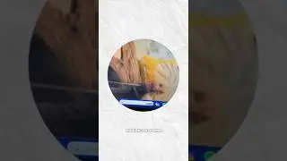 Как вяжут в разных странах #вязание