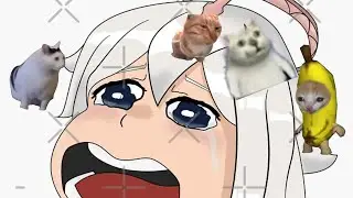 Genshin story, but cat memes, part 3