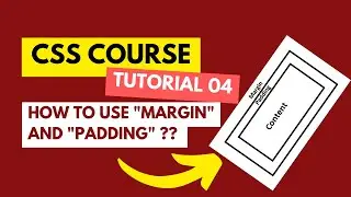 How to Use CSS Margin and Padding | CSS Course Tutorial 04