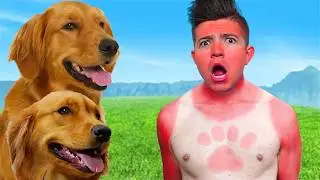 My Dogs Pull 100 Summer Pranks! 🤣