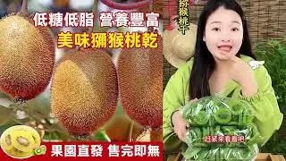 美味健康獼猴桃乾，無蔗糖，低脂香甜，好吃又健康