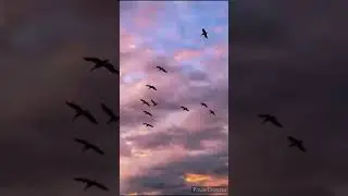 Я -ВЫПЬЮ ЗА ВСЕХ ДРУЗЕЙ , ДОБРЫЙ ВЕЧЕР  .