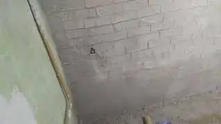 Декор стены под кирпич (первый раз)