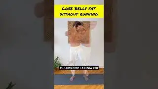 Lose Belly Fat Without Running