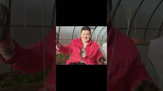 добрый вечер 