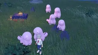 Quagsire and Quagsire and Quagsire and Quagsire and Quagsire and Quagsire