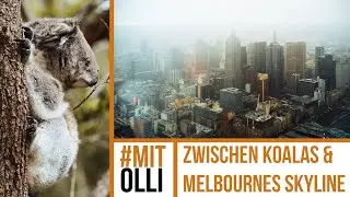 Mit Olli & TUI Camper durch Australien | Philipp Island, Koalas & Melbourne City Lights
