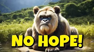 SORRY THERE IS NO HOPE IN STATE OF SURVIVAL!