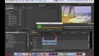 Adobe Premiere Pro Training - Importing Audio