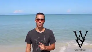 Shark Minutes: How many populations of white sharks are there?
