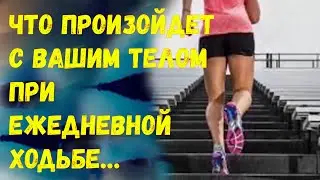 Что Произойдет с Вашим Телом При Ежедневной Ходьбе…