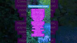 #рекомендации