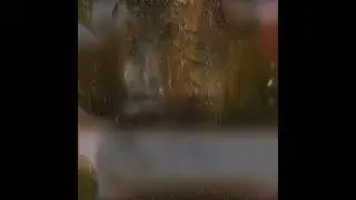 Отар Кушанашвили о Юре