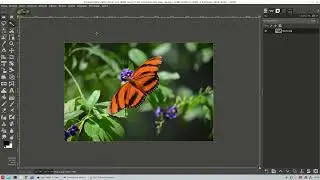 Gimp Eğitimleri - 36 (Siyah Beyaz Resim)
