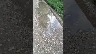 Идут дожди,растут грибы и ямы на дорогах.